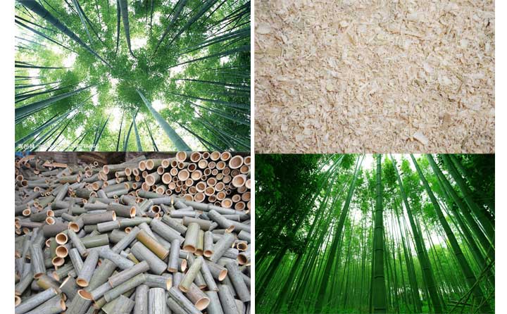 木屑顆粒機(jī)設(shè)備的發(fā)展會越來越好 木屑顆粒機(jī)設(shè)備的發(fā)展會越來越好