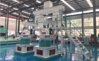 木屑顆粒機(jī)多少錢一臺?建顆粒廠大約多少錢？