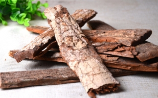 木材加工廠的廢棄物刨花能夠用來做什么？鋸末顆粒機告訴你