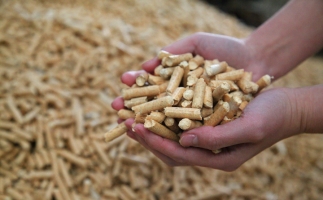 為什么越來越多人選鋸末顆粒機的生物質(zhì)顆粒取暖？