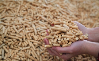 鋸末顆粒機(jī)生物質(zhì)顆粒，你需要知道的常識問題