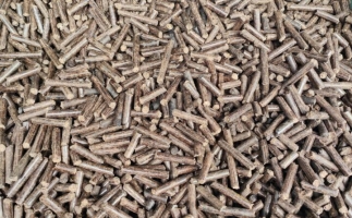 鋸末顆粒機(jī)加工的顆粒燃料價(jià)格主要受哪幾個方面的影響？