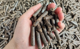 生物質(zhì)顆粒燃料公司前景怎么樣，木屑顆粒機的顆粒燃料賣給誰的？