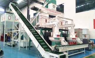 2023年木屑顆粒機生產(chǎn)生物質(zhì)燃料顆粒行情、利潤怎么樣，投資多少大約？