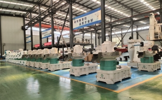 2025 年投資木屑顆粒機(jī)的十大核心優(yōu)勢(shì)與實(shí)戰(zhàn)指南